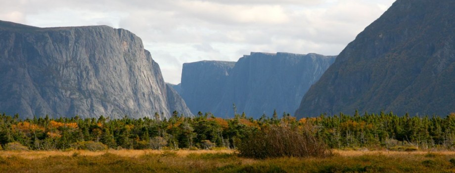 Learn about new regionalism in Canada