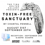 imagery with lobster claw and the text toxin free sanctuary with event details